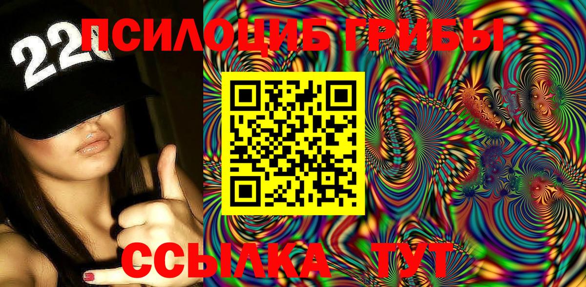 Псилоцибиновые грибы Psilocybine cubensis Вязьма