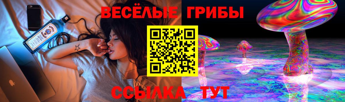 Вязьма  Псилоцибиновые грибы прущие грибы  Вход с VPN 